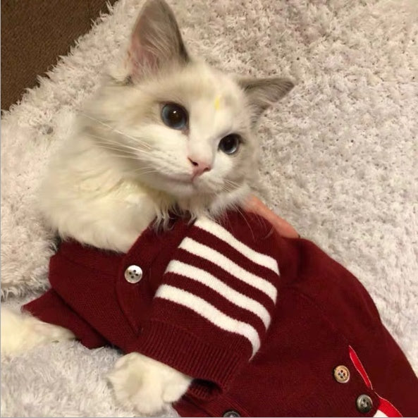 PET SWEATER