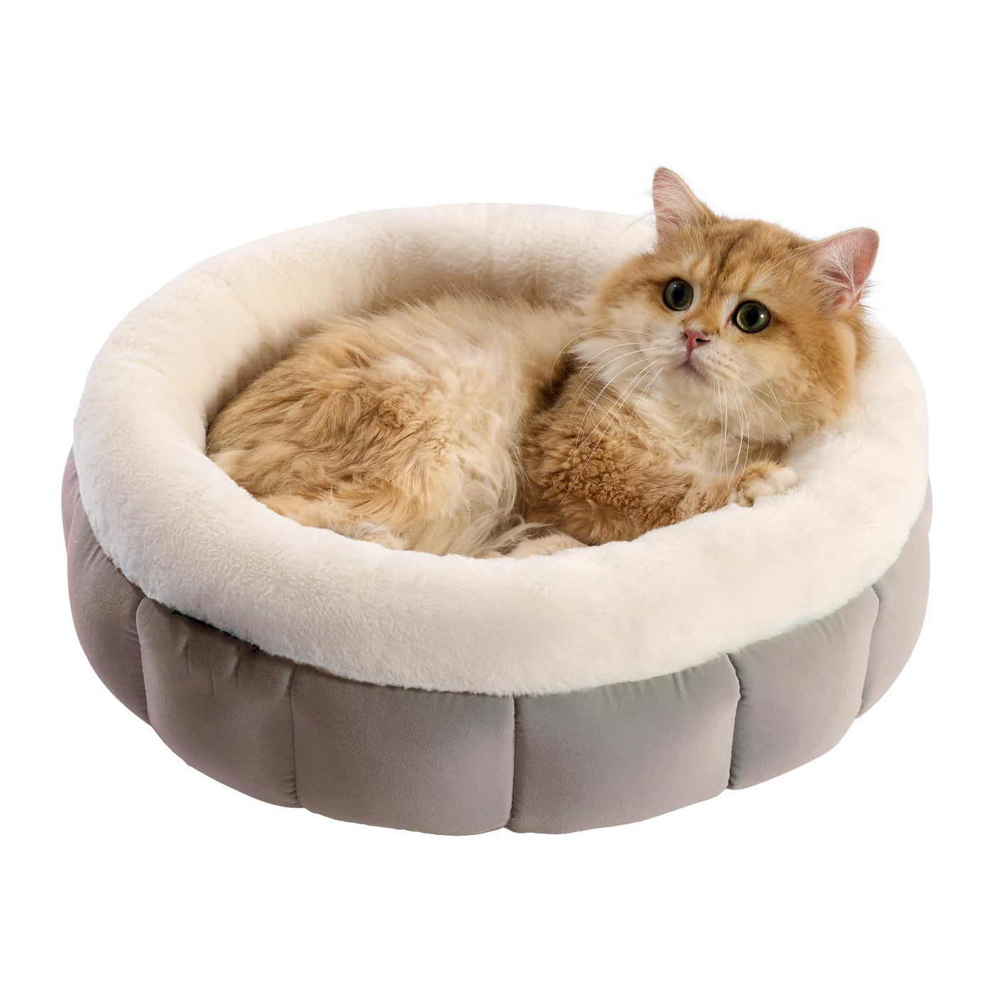 Donut Dog Beds For Small Dogs - Round Cat Beds For Indoor Cats Washable Pet Bed For Puppy And Kitten With Anti-Slip Bottom